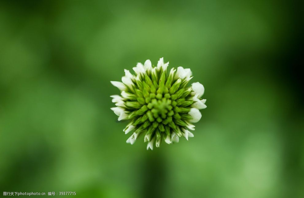 护眼壁纸图片图片 图行天下素材网